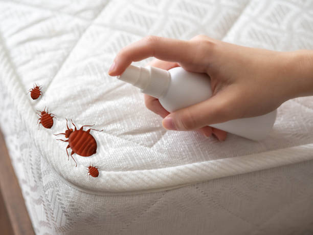 Best Pest Removal Services  in Minerva, OH